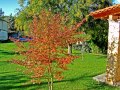 ΔΙΩΡΟΦΗ ΚΑΤΟΙΚΙΑ ΣΤΑ ΣΑΝΑ ΧΑΛΚΙΔΙΚΗΣ ΑΠΟ ΔΥΝΑΜΙΚΗ ΑΤΕ (19)