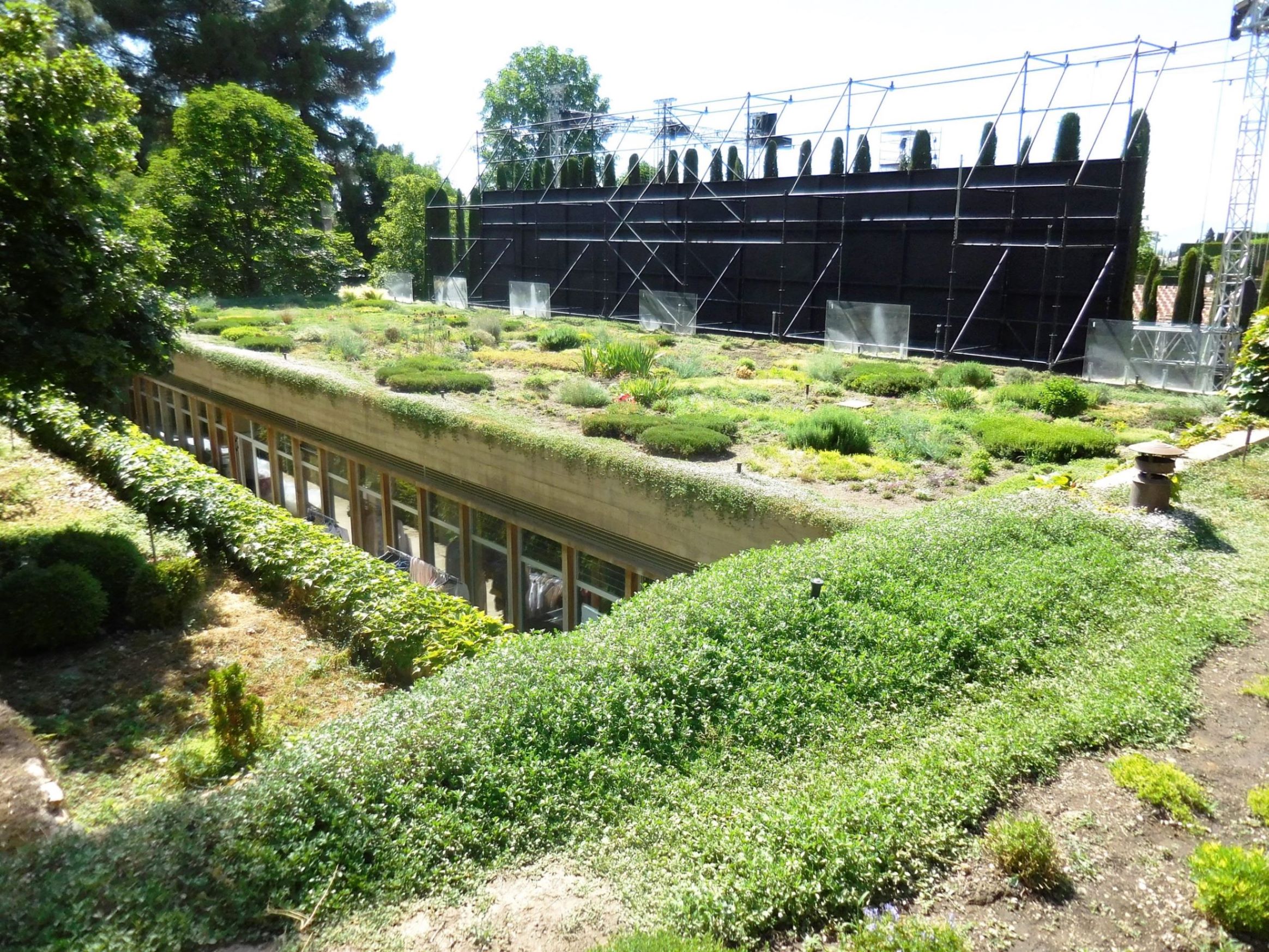 ΦΥΤΕΜΕΝΟ ΔΩΜΑ ΔΥΝΑΜΙΚΗ ΑΤΕ