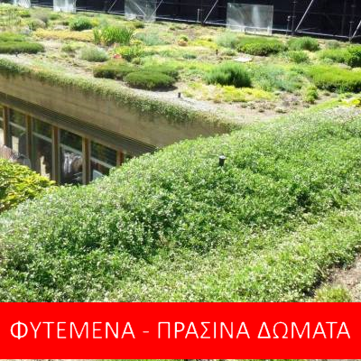 ΦΥΤΕΜΕΝΑ ΠΡΑΣΙΝΑ ΔΩΜΑΤΑ